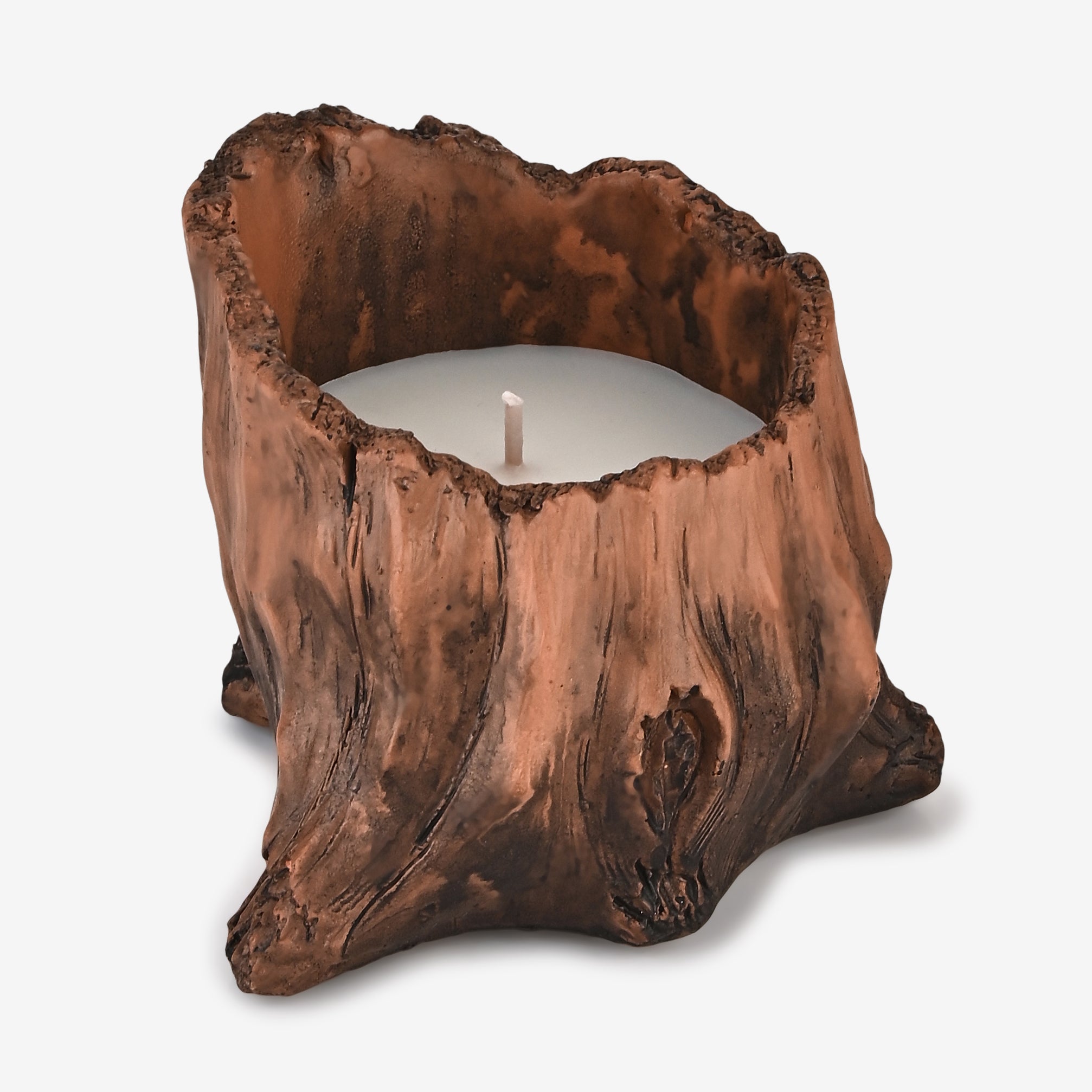THE FOREST WHISPER